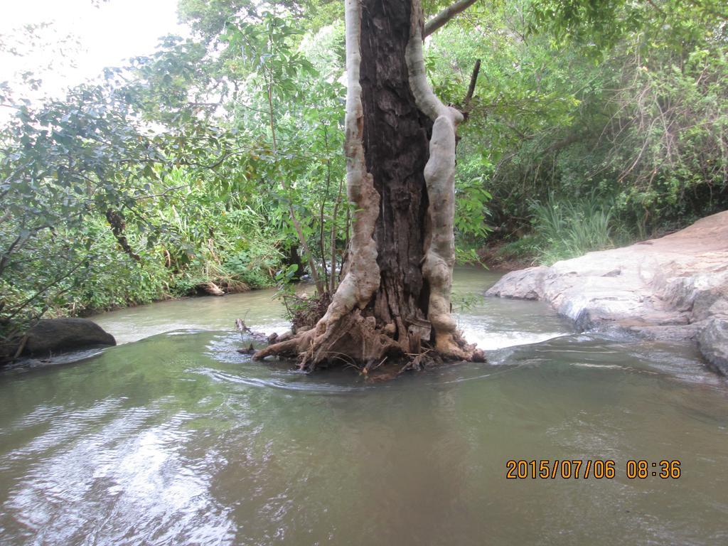 Sigiriya River Side Resort Kültér fotó