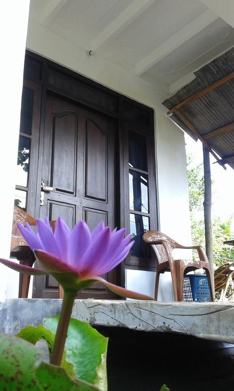 Sigiriya River Side Resort Kültér fotó