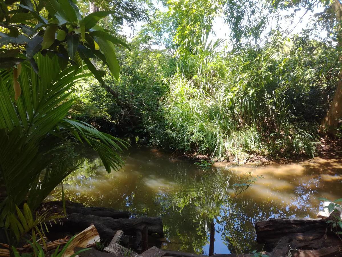 Sigiriya River Side Resort Kültér fotó